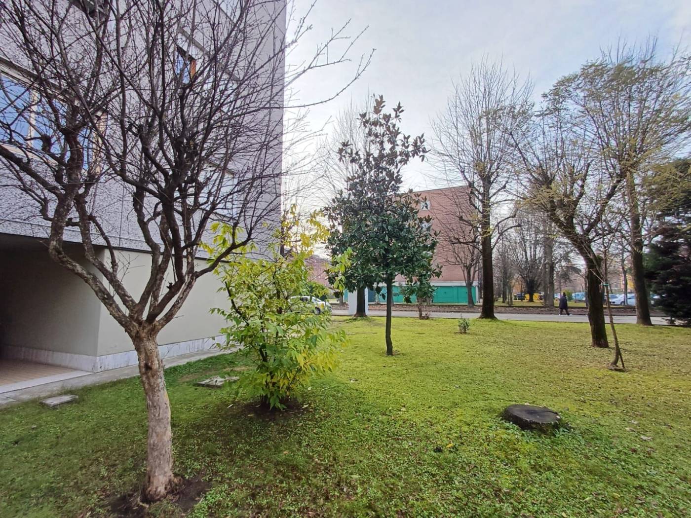 Giardino