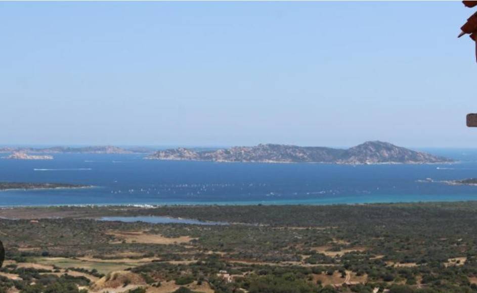 Vista