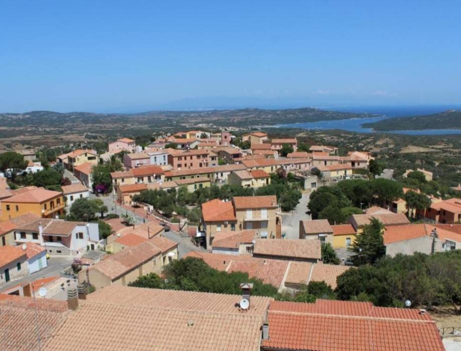 Vista
