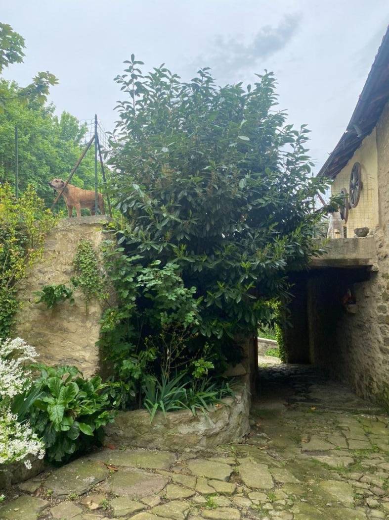 Giardino
