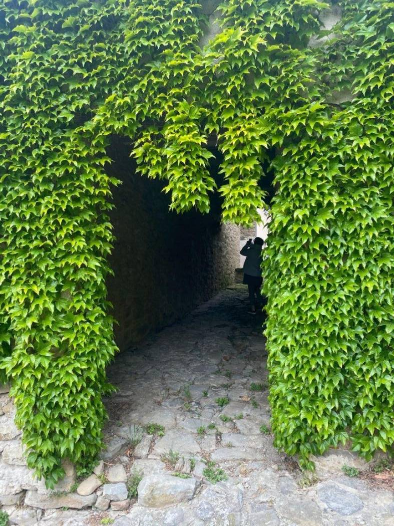 Giardino