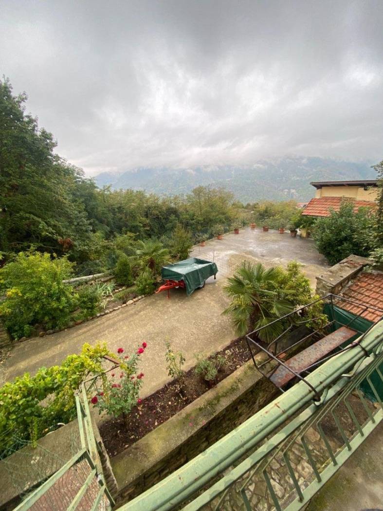 Vista