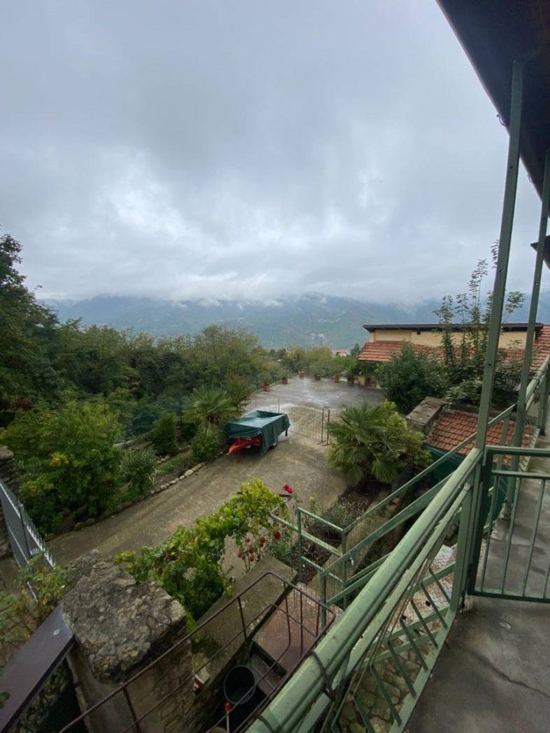 Vista