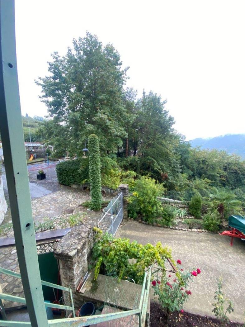 Vista