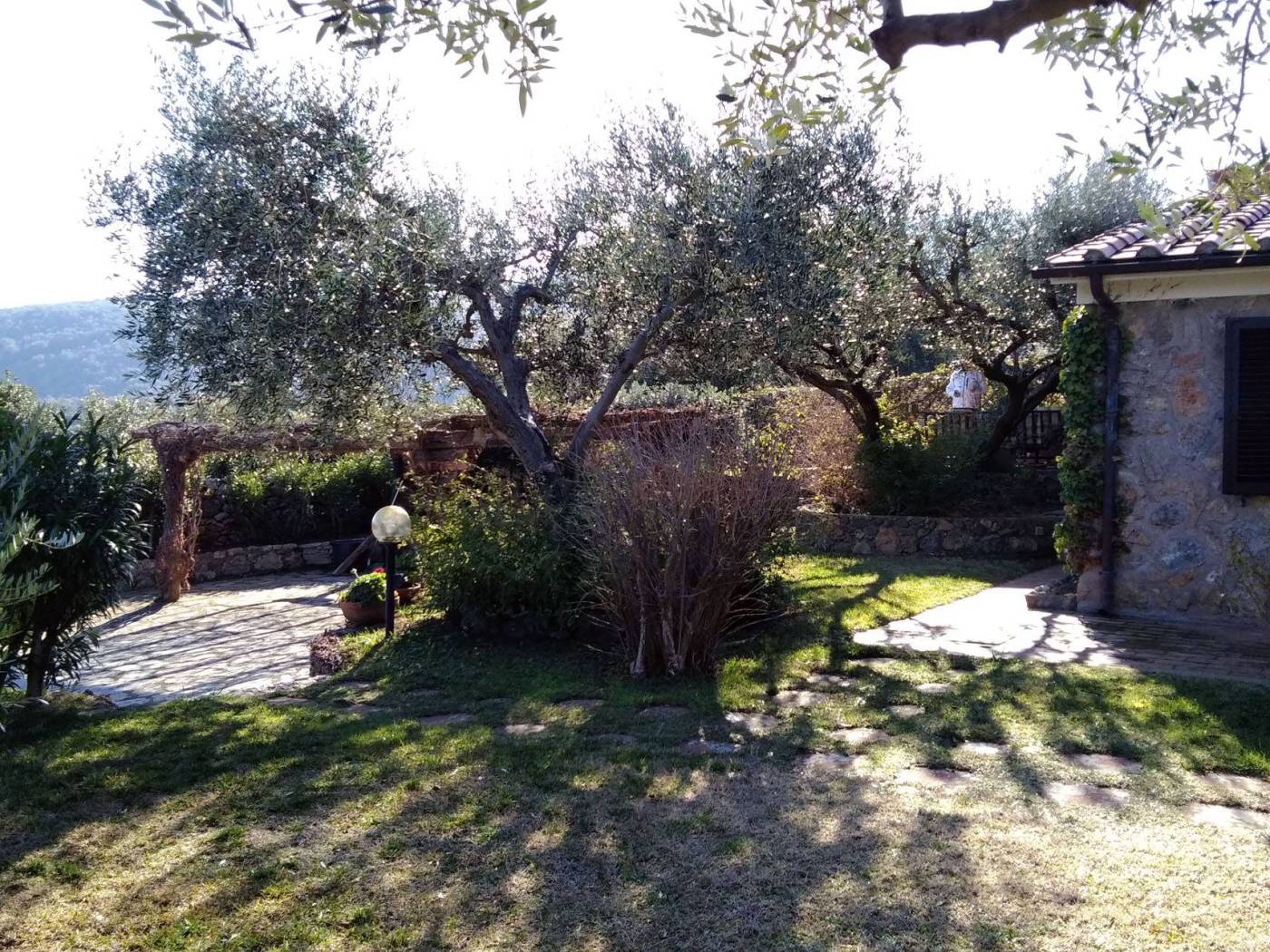 Giardino