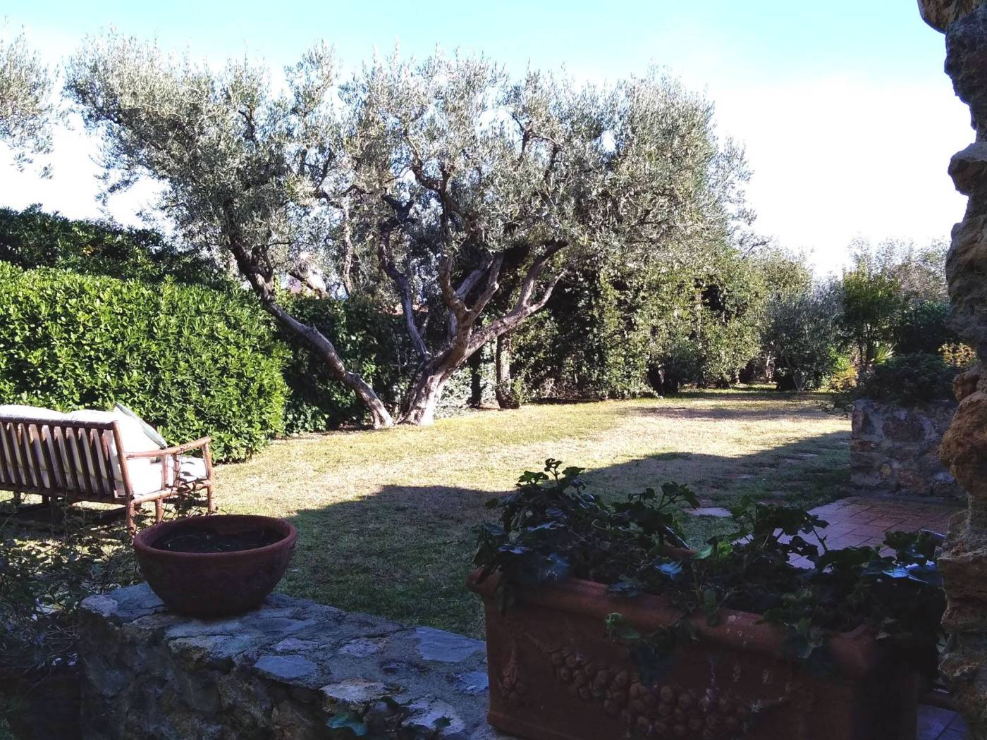 Giardino