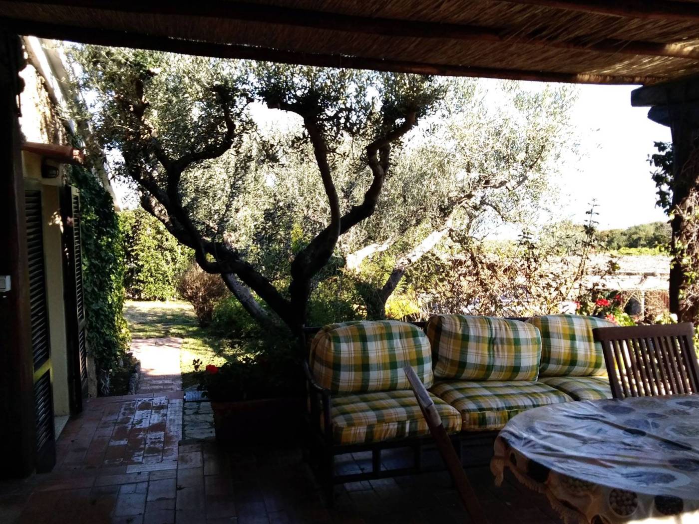 Giardino