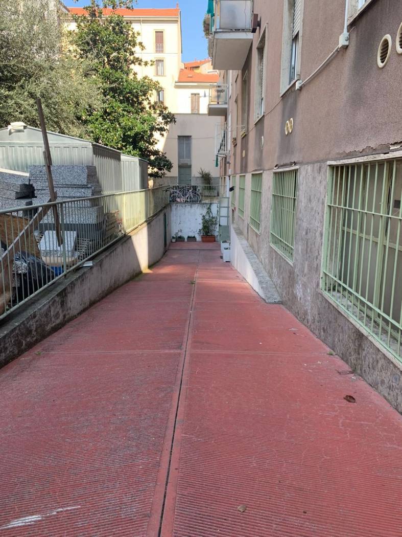 Zona