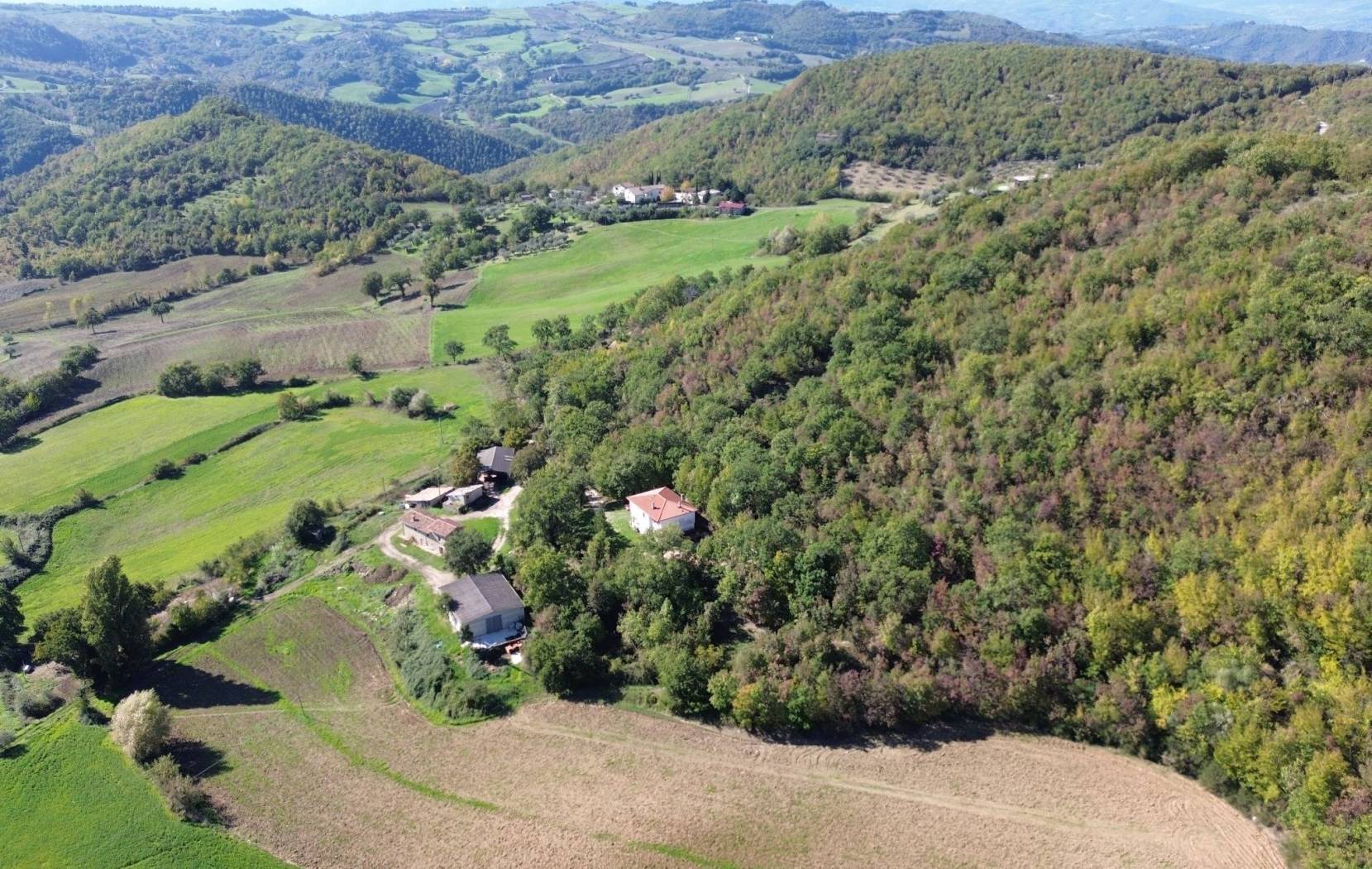 Vista