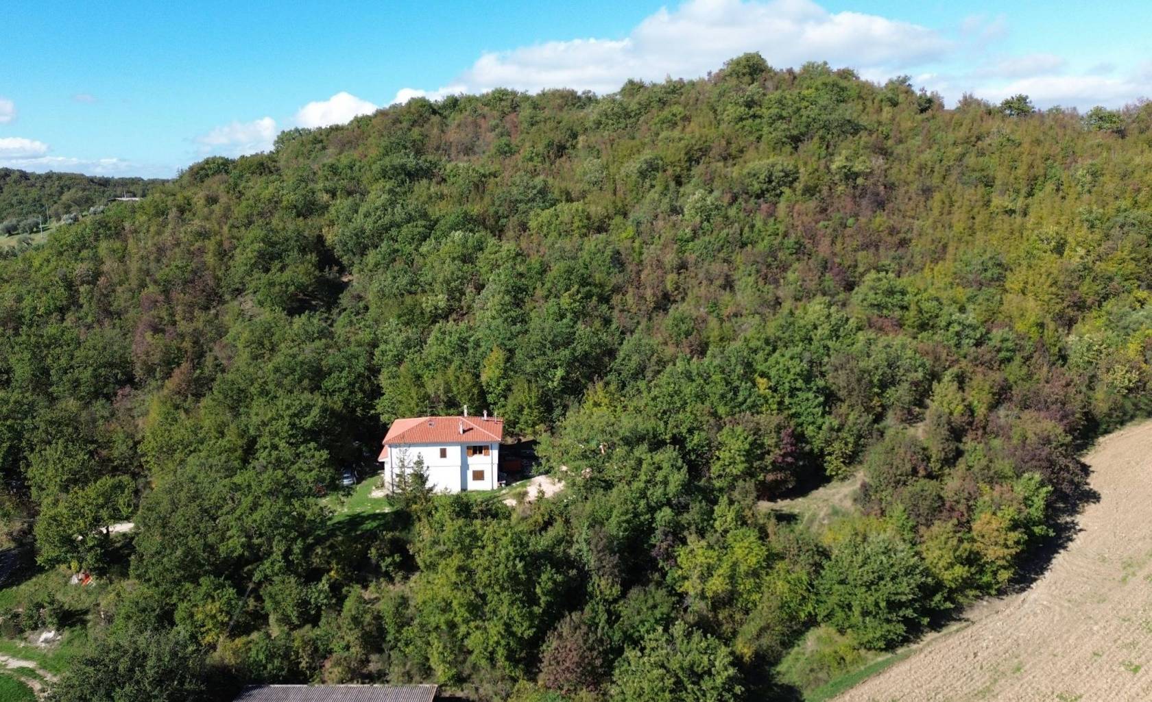 Vista