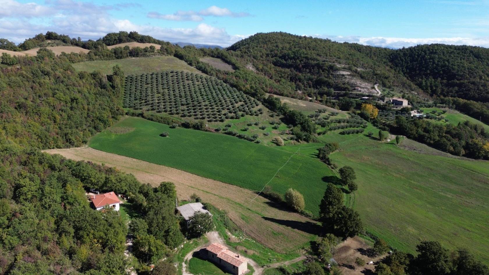 Vista