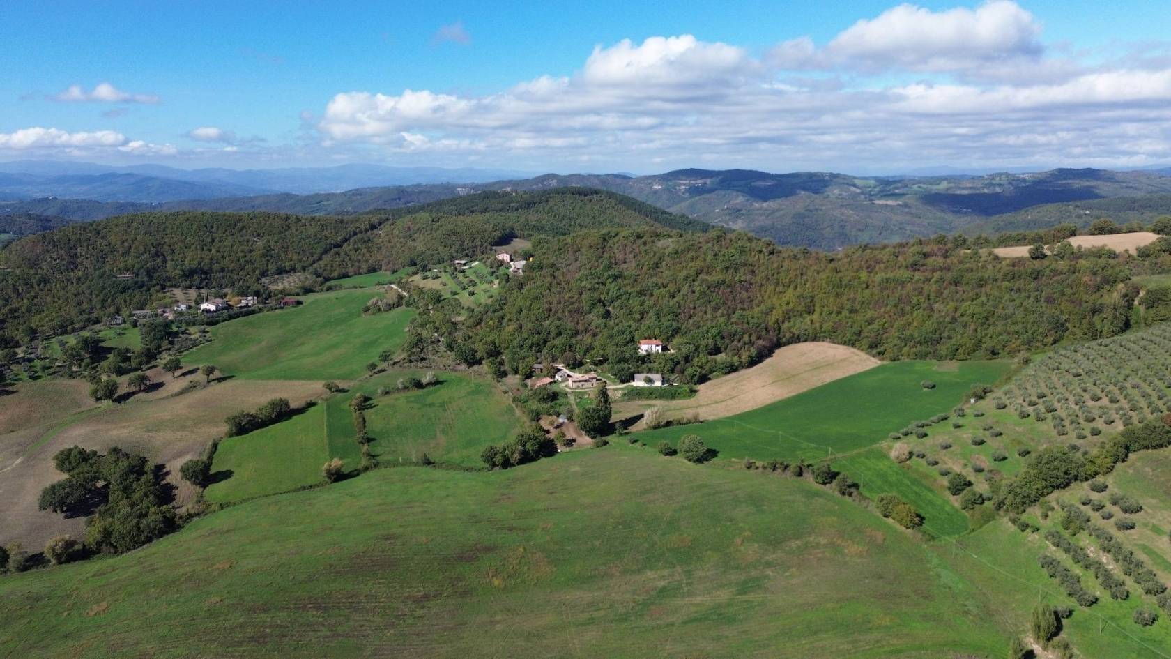 Vista