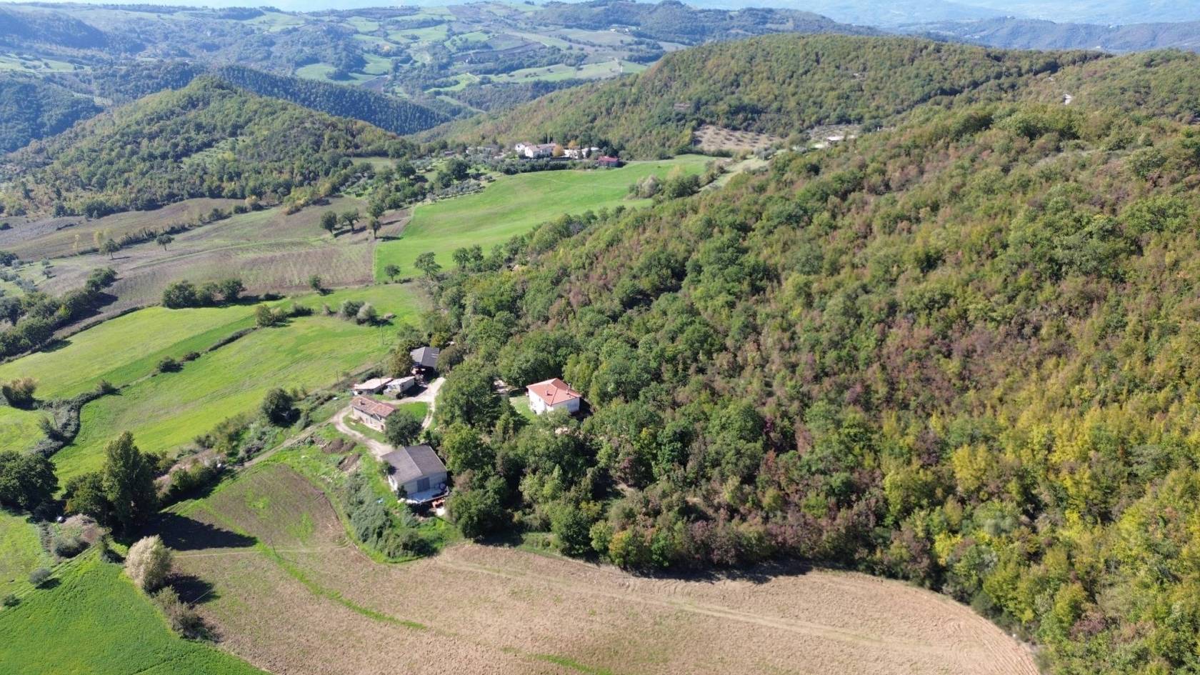 Vista