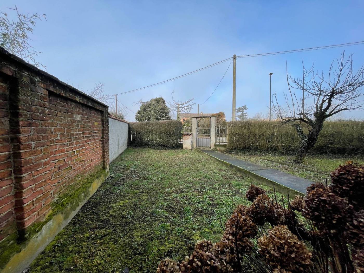 Giardino