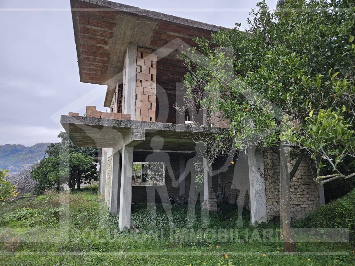 Terreno
