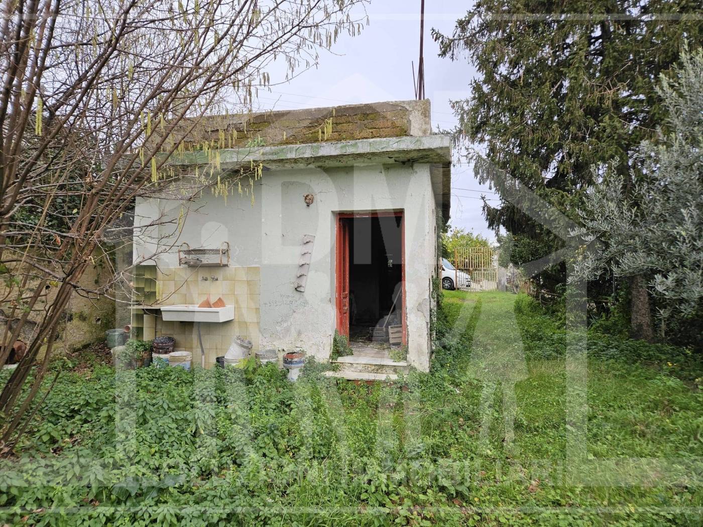 Giardino