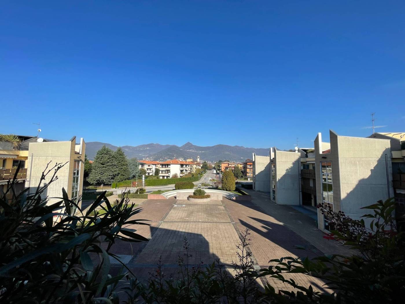 Vista