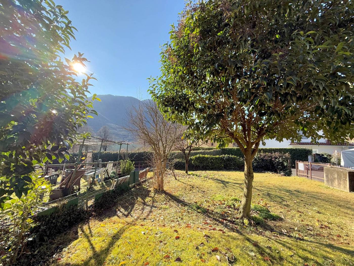 Giardino