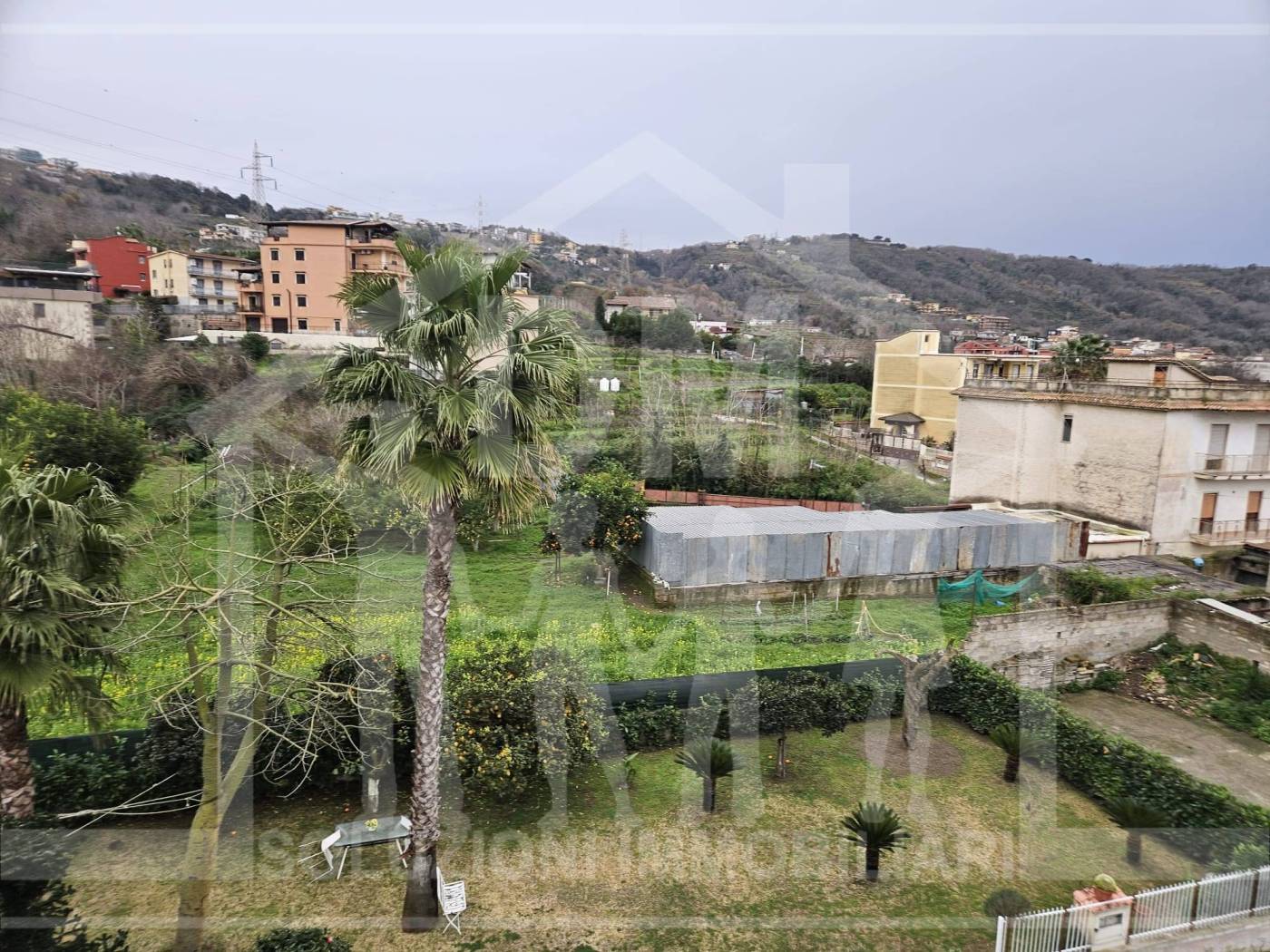 Vista