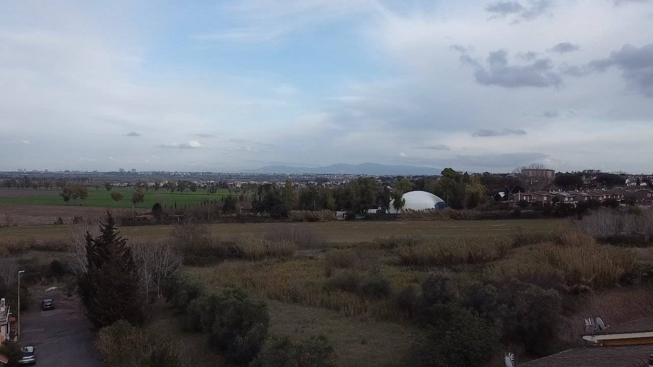 Vista