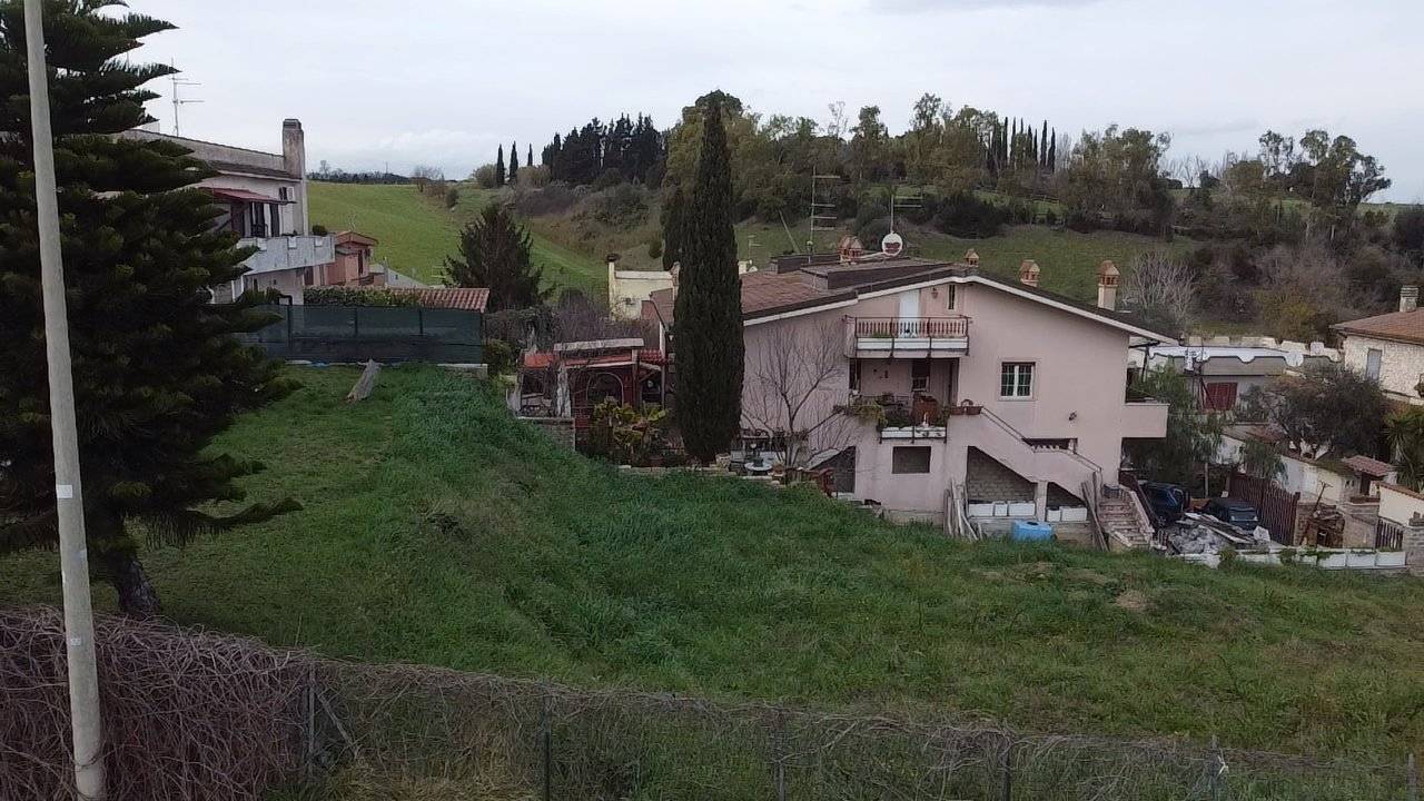 Vista