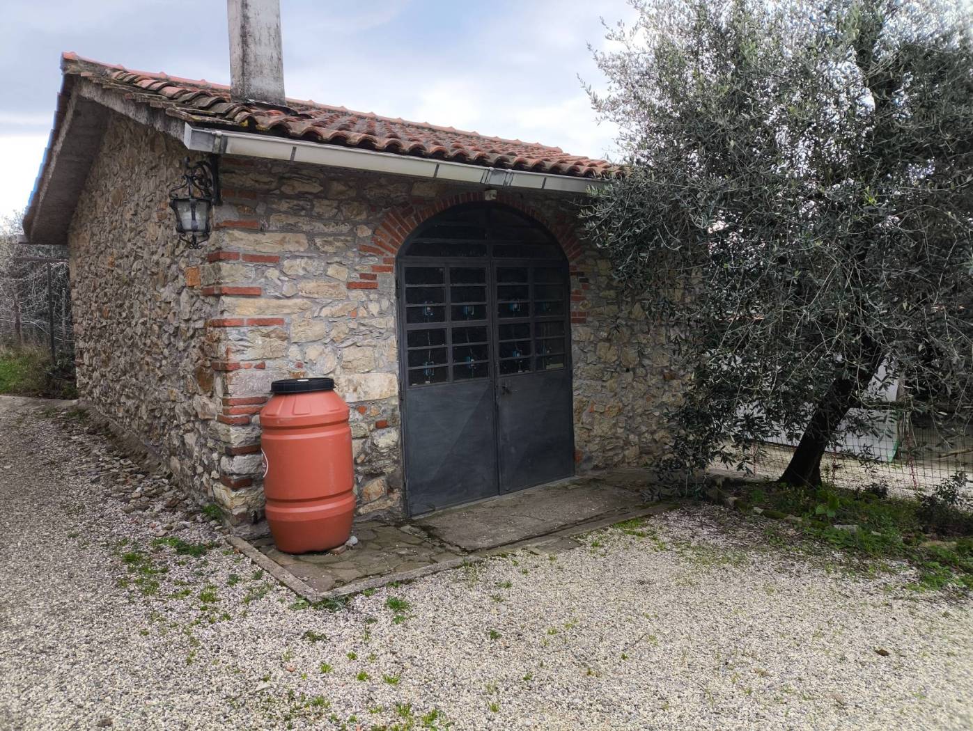 Giardino