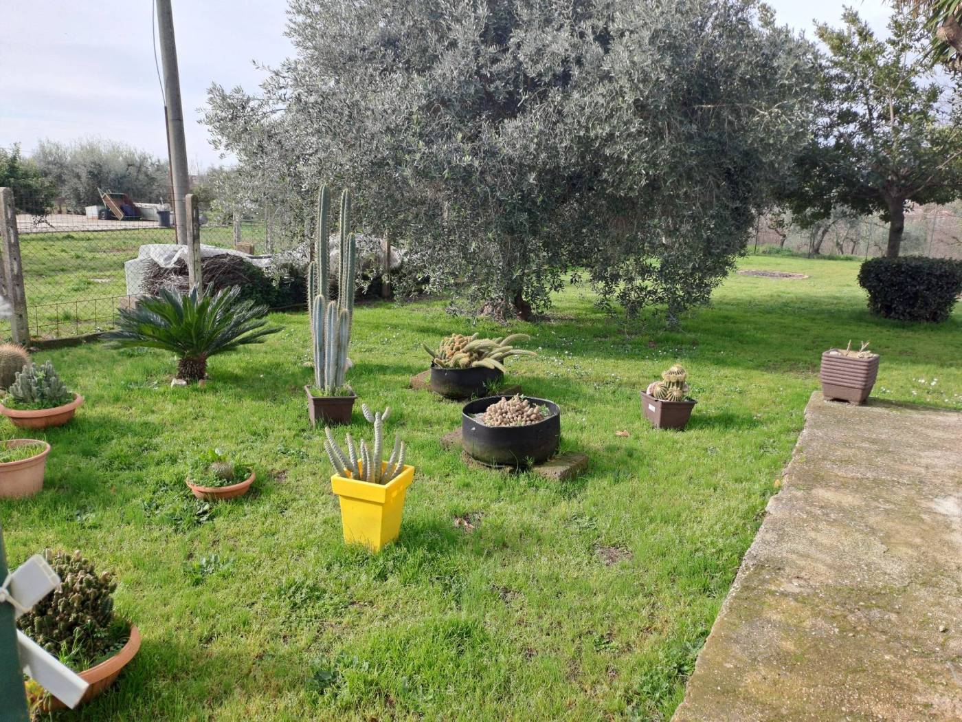 Giardino