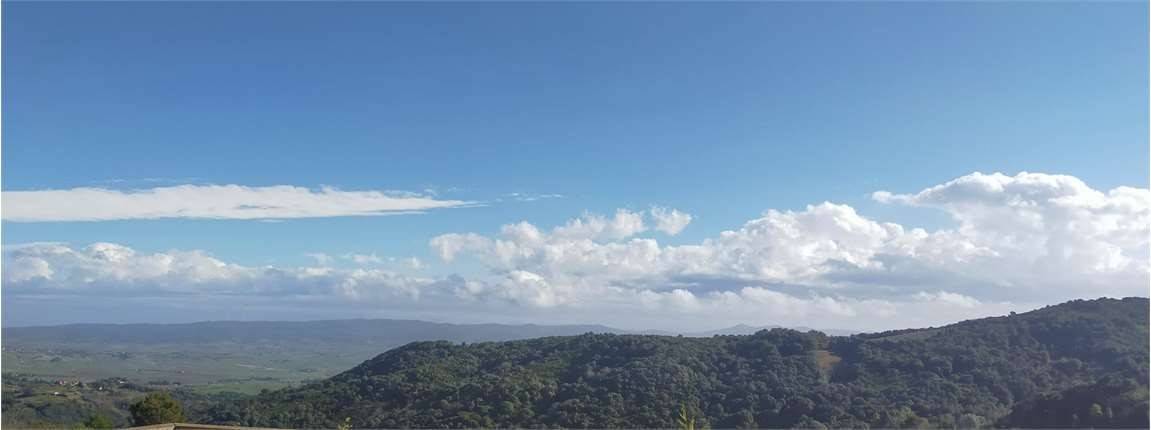 Vista
