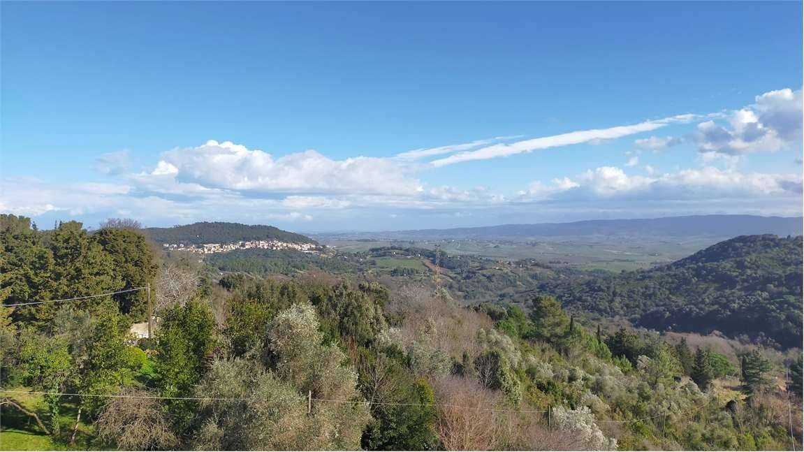 Vista