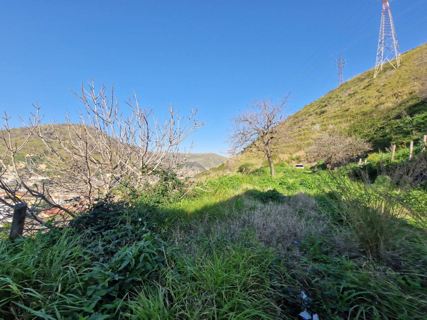 Terreno
