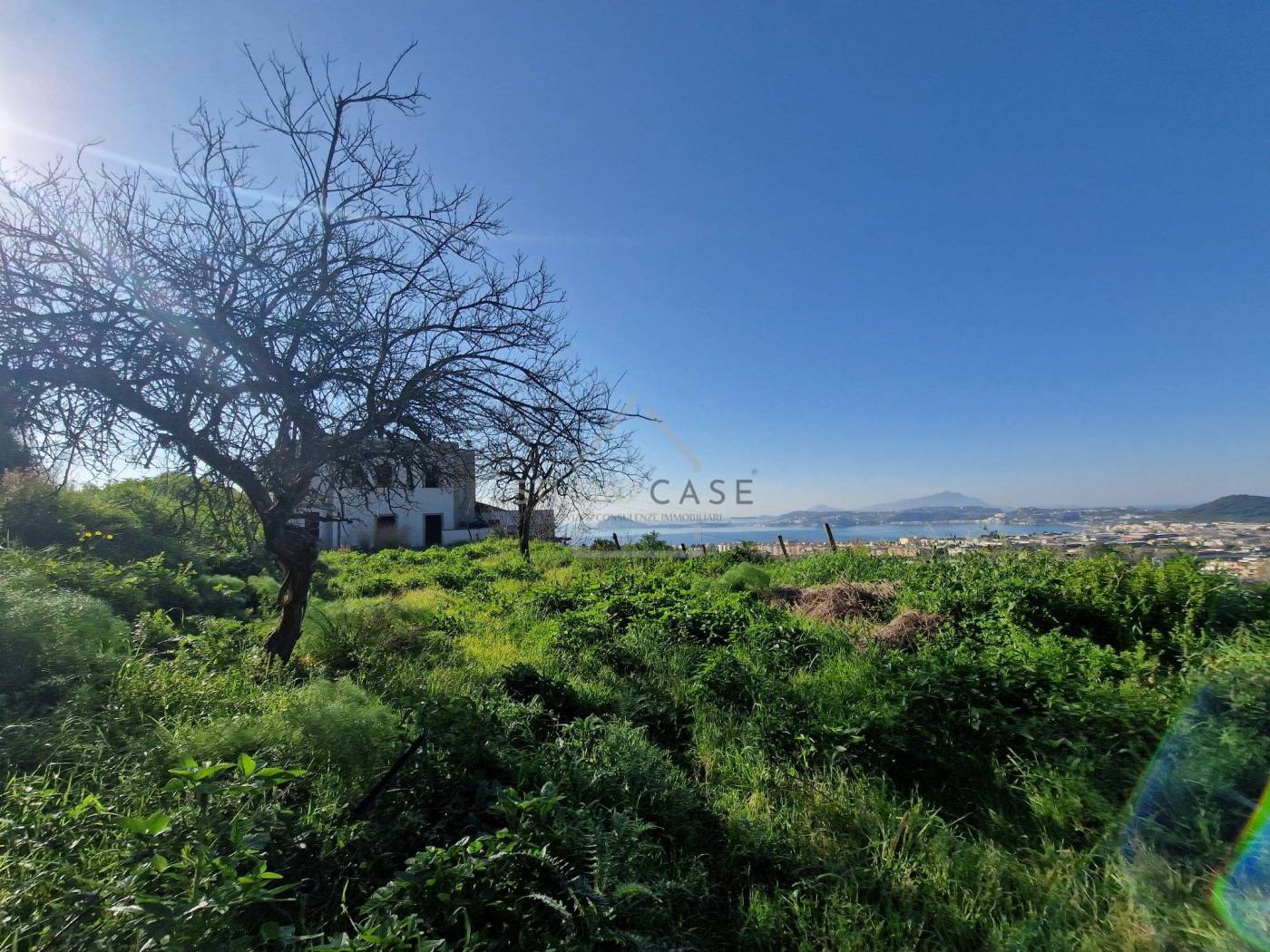 Vista