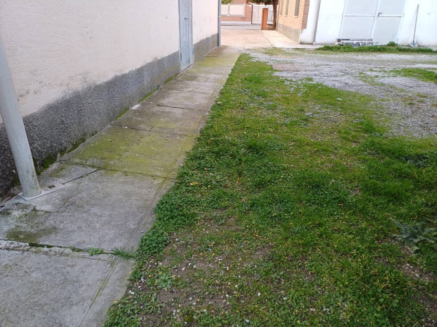 Giardino