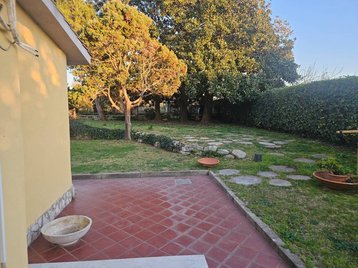Giardino