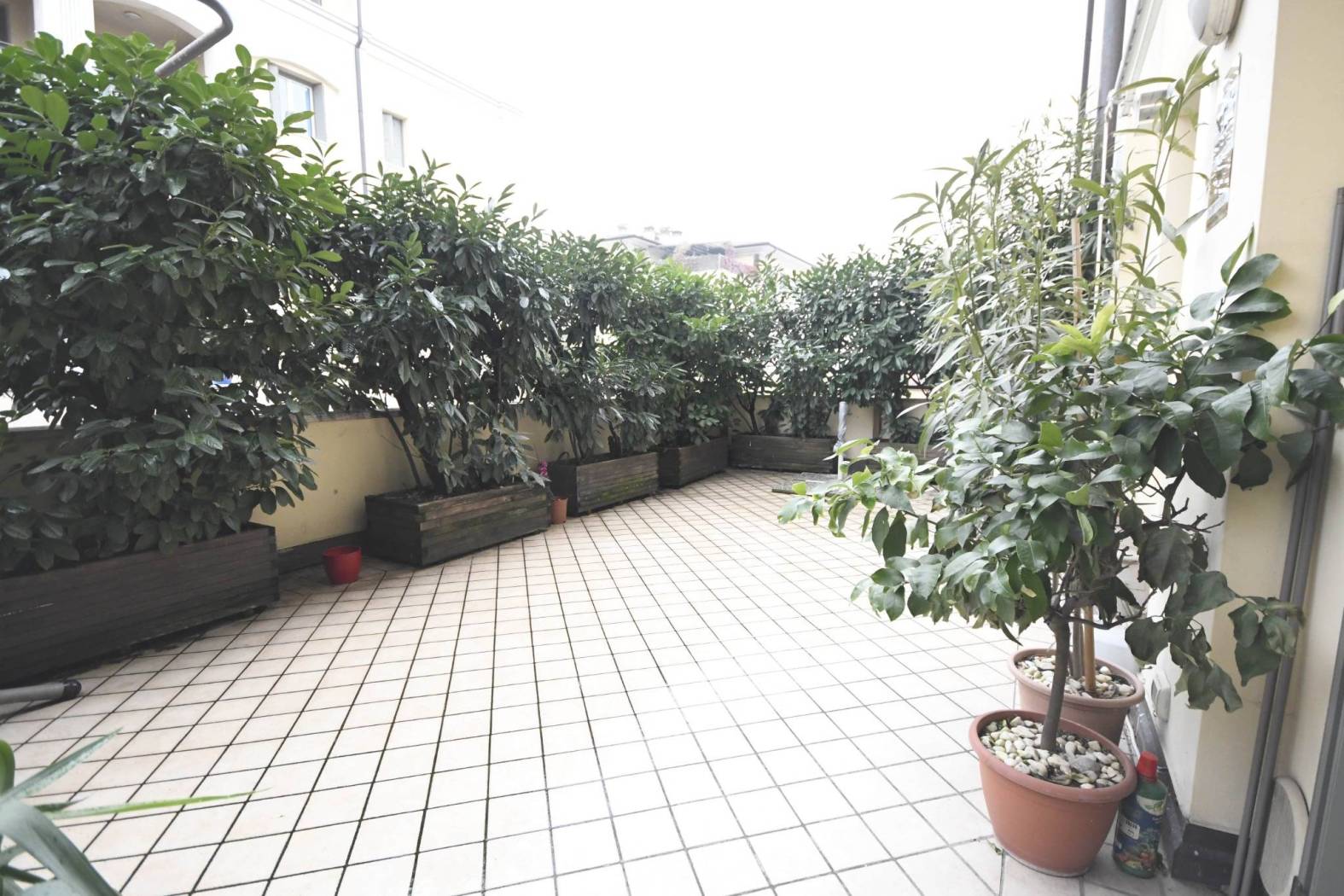 Balcone