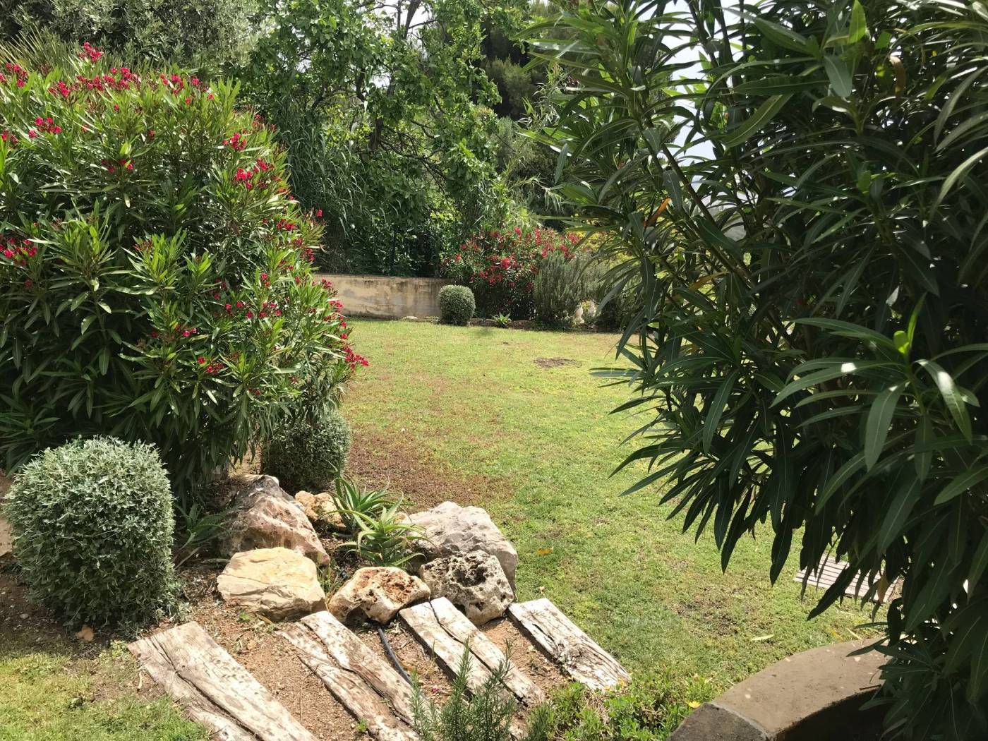 Giardino