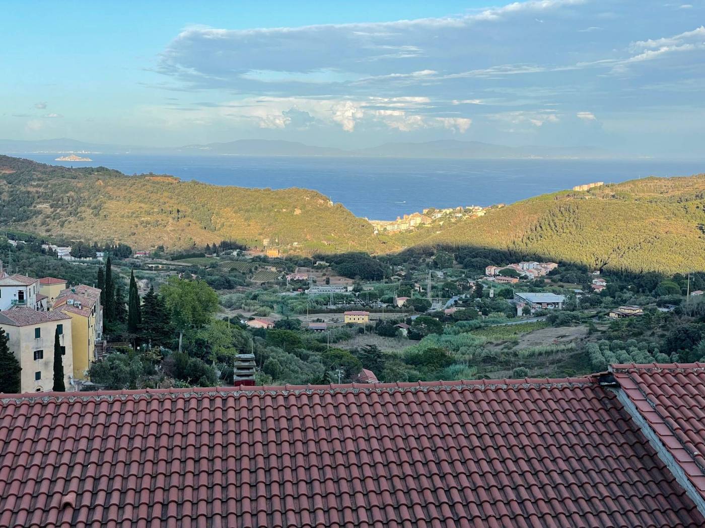 Vista
