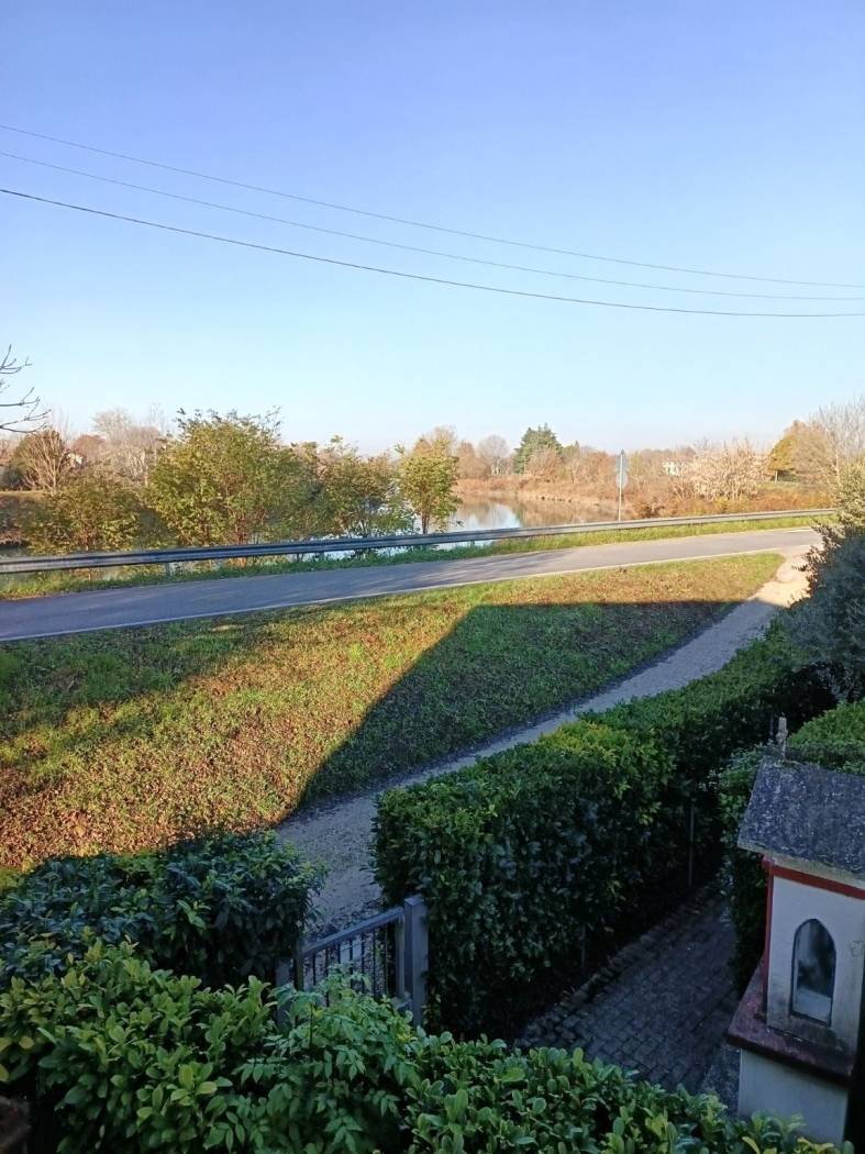 Vista