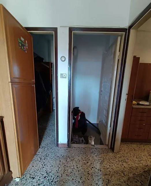 Interno appartamento