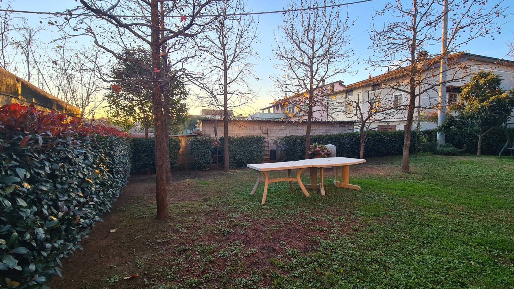 Giardino