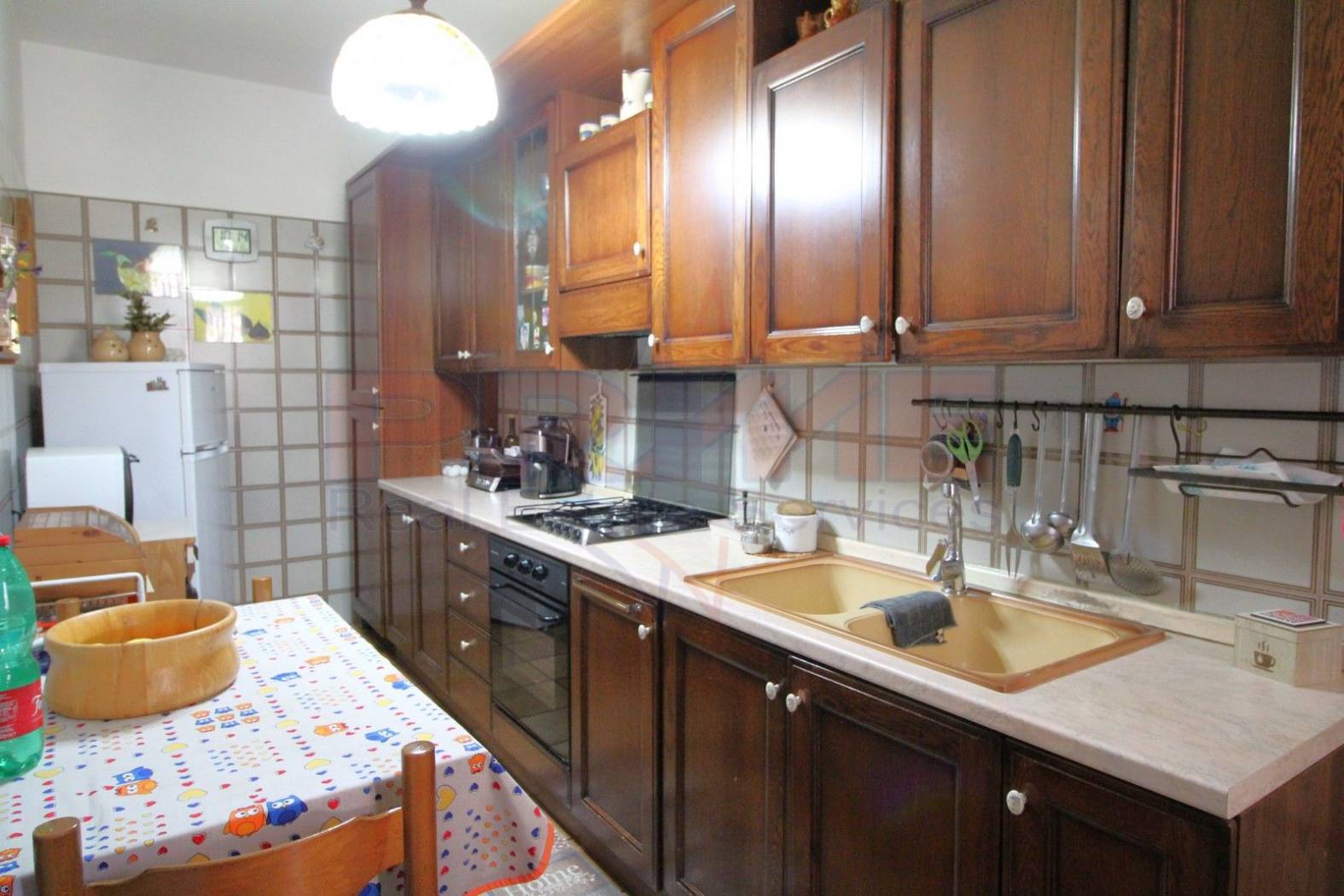 Cucina Cucina