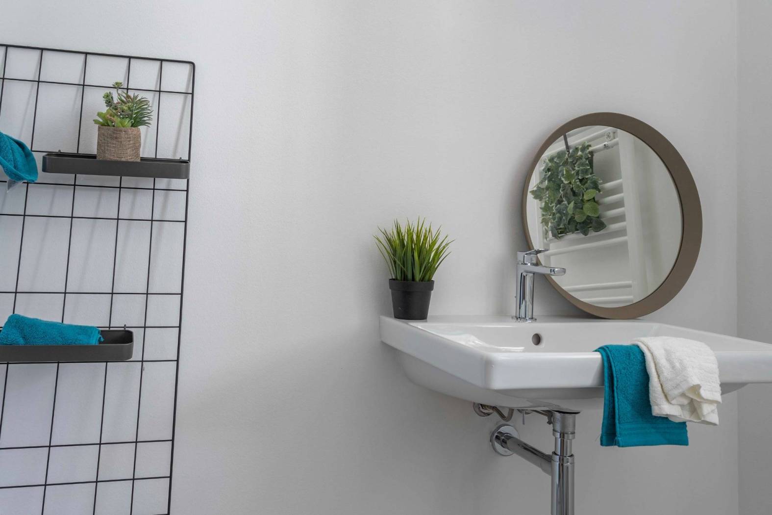Bagno Bagno