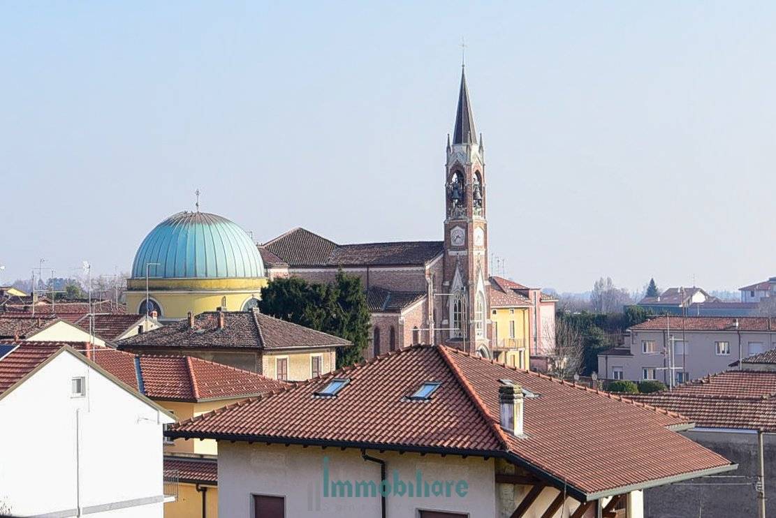 Vista