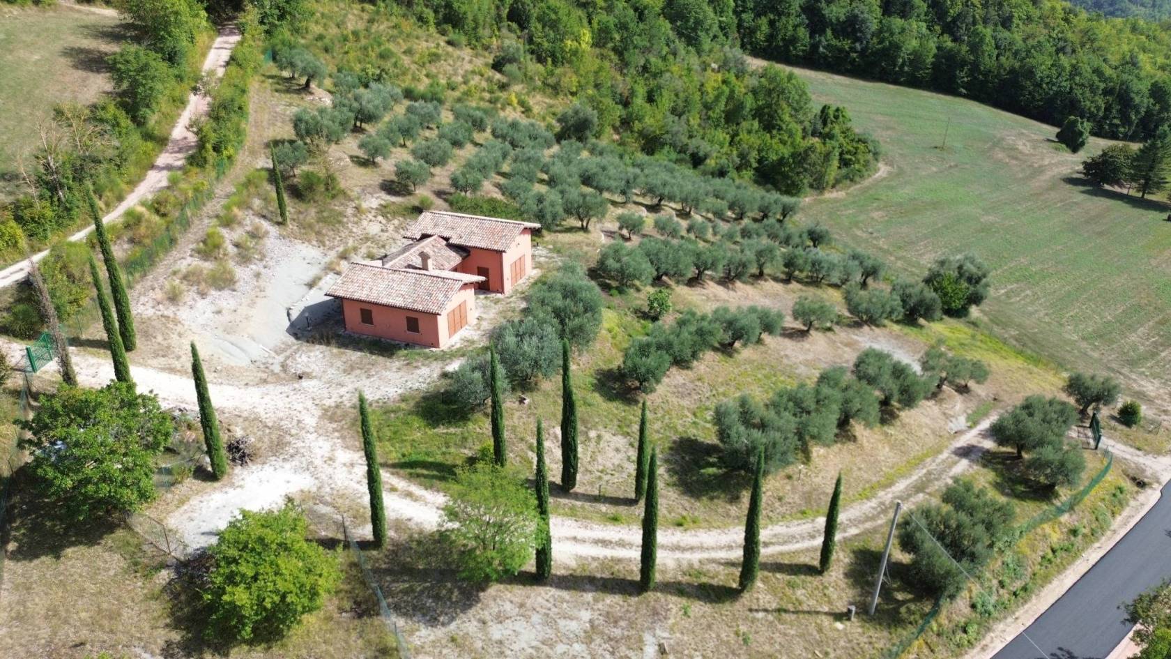 Vista