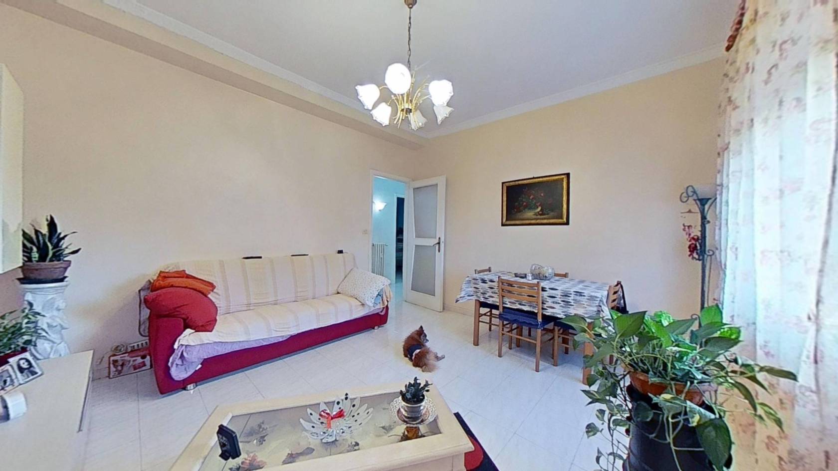 Salone