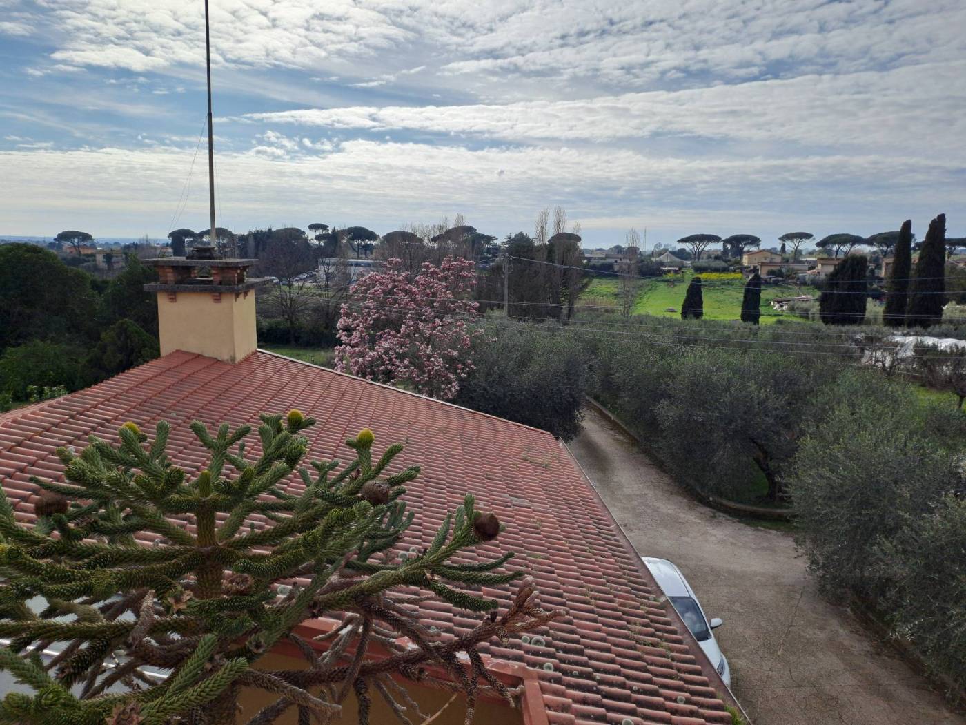 Vista