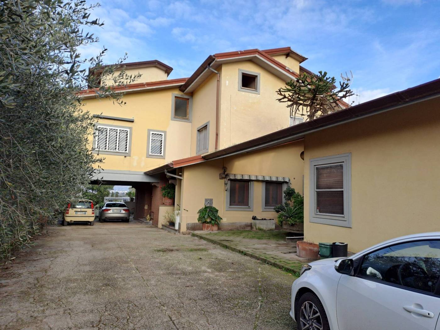 Giardino