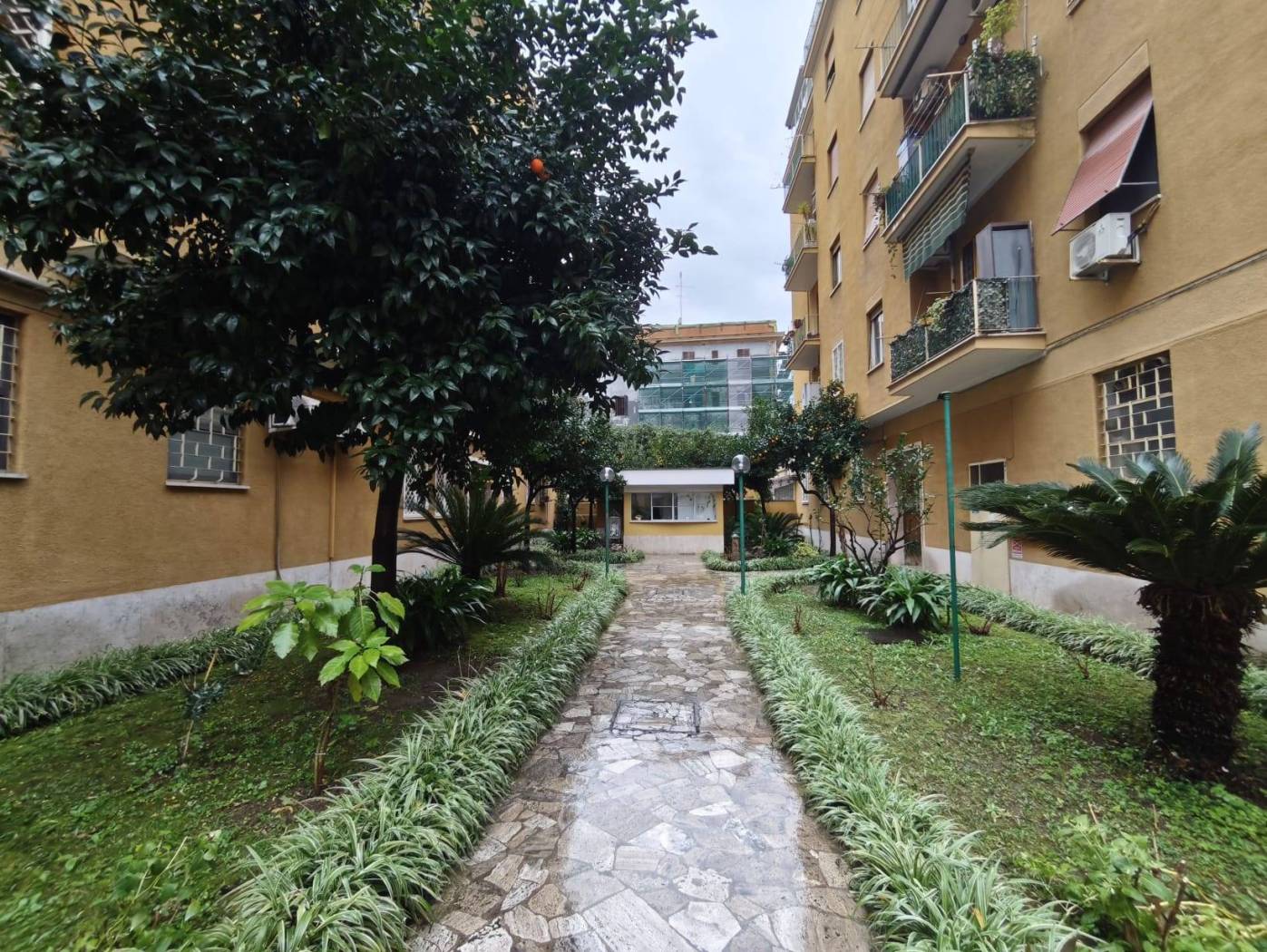 Giardino