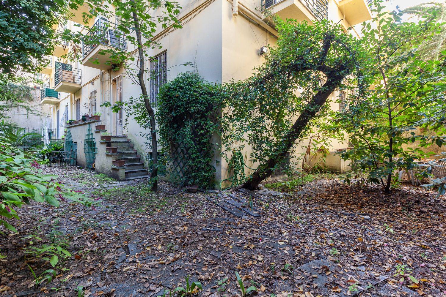 Giardino