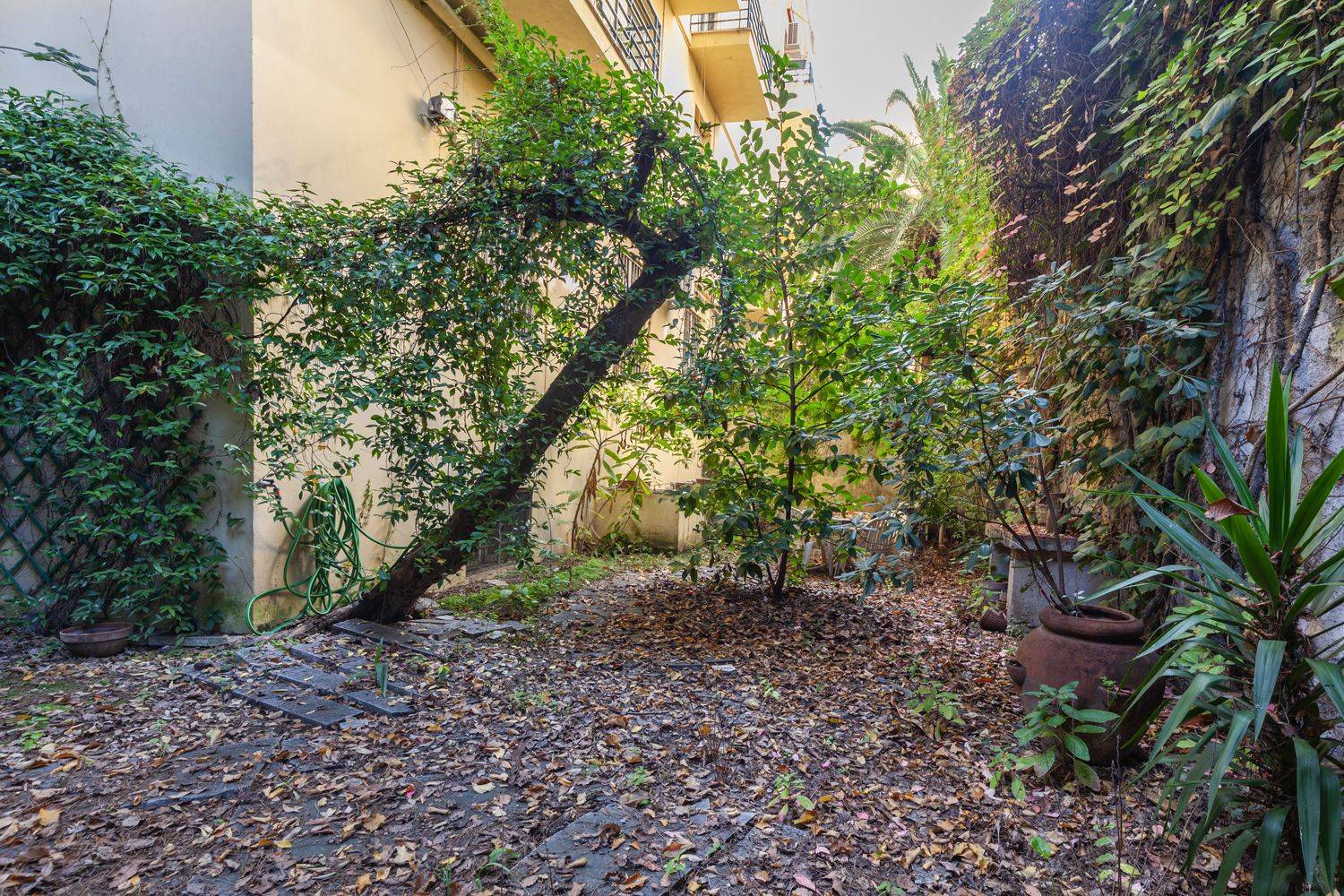 Giardino