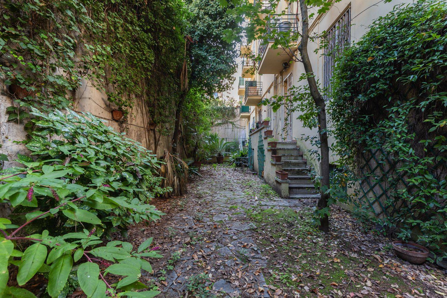 Giardino